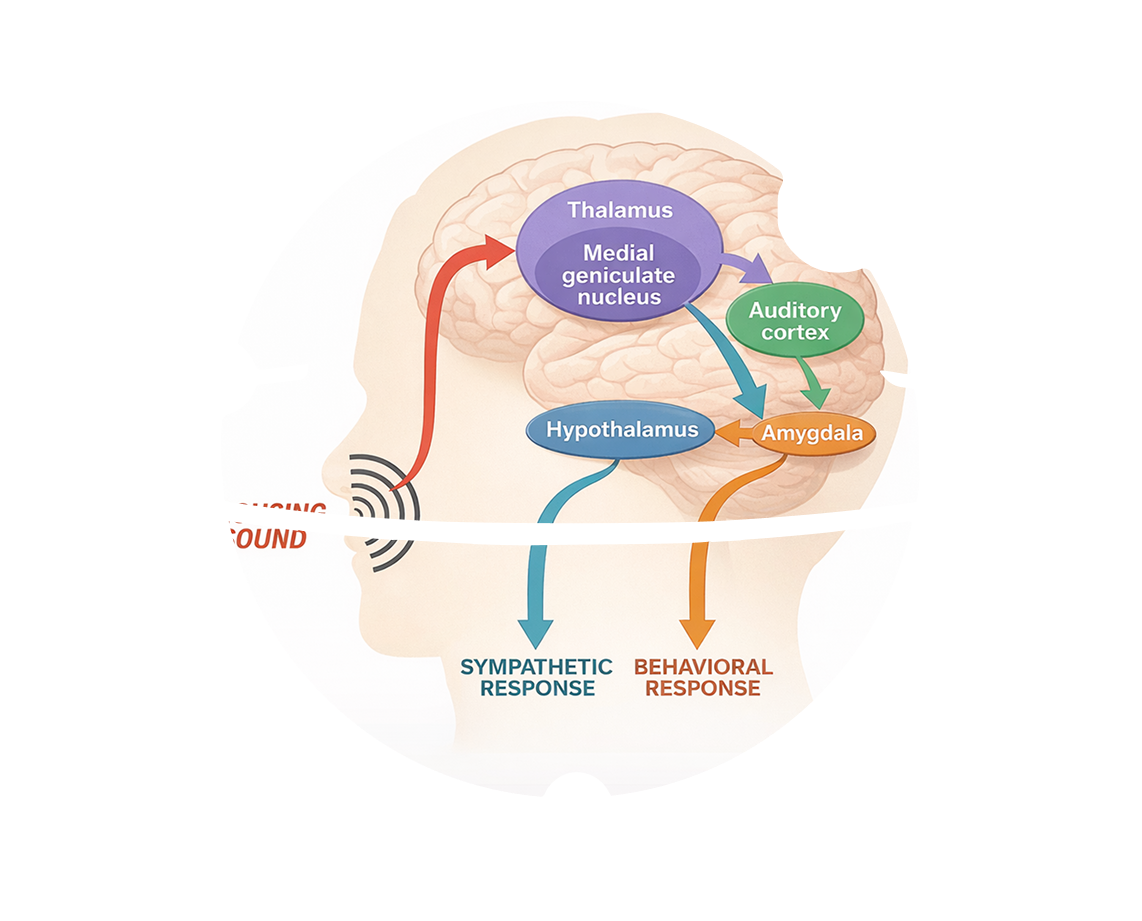 Sound frequencies that interrupt stuck emotional patterns.