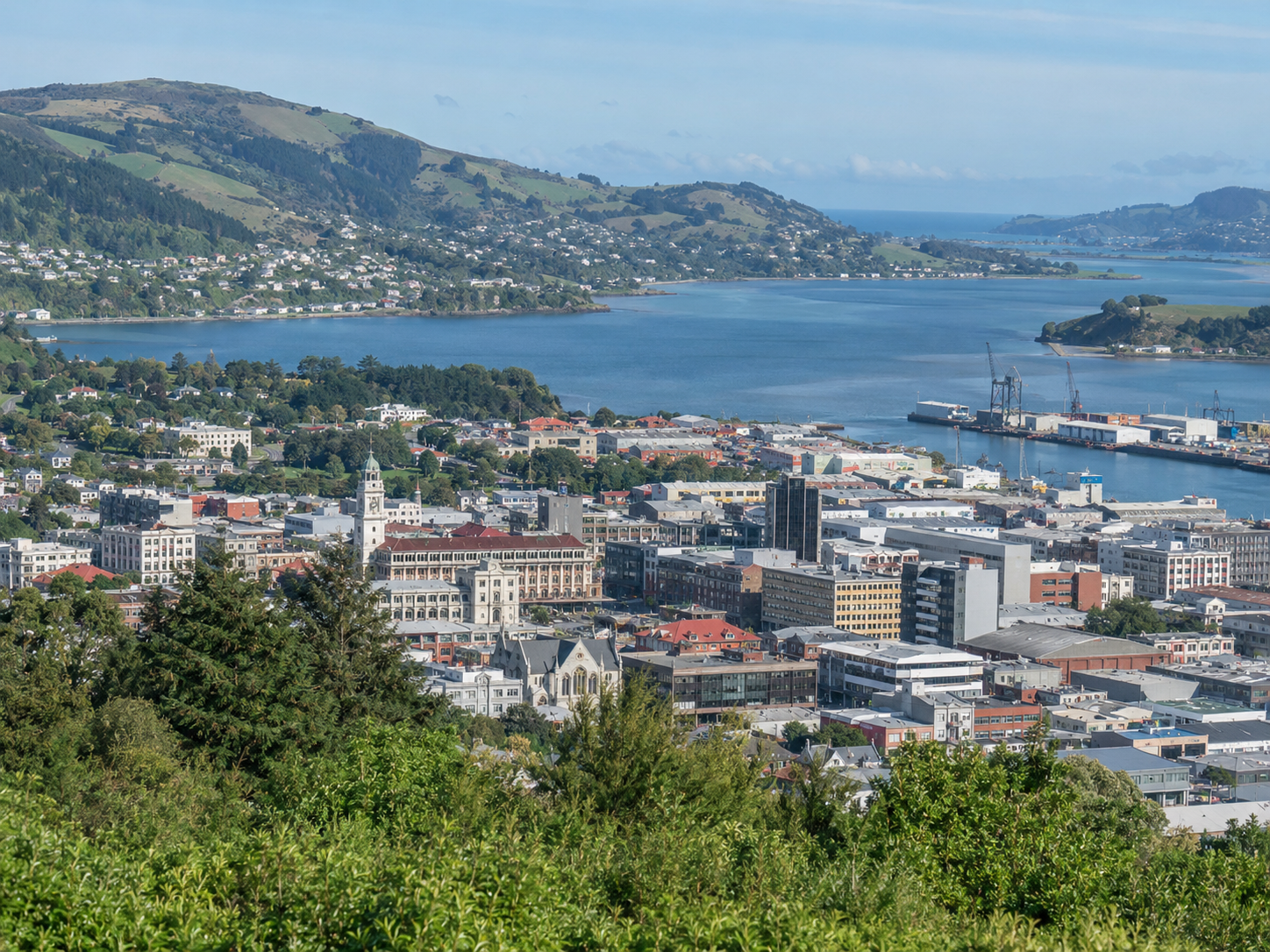 Dunedin, New Zealand - home of NeuroBalance