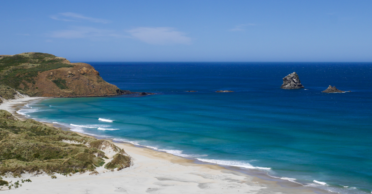 What to do in Dunedin during your visit